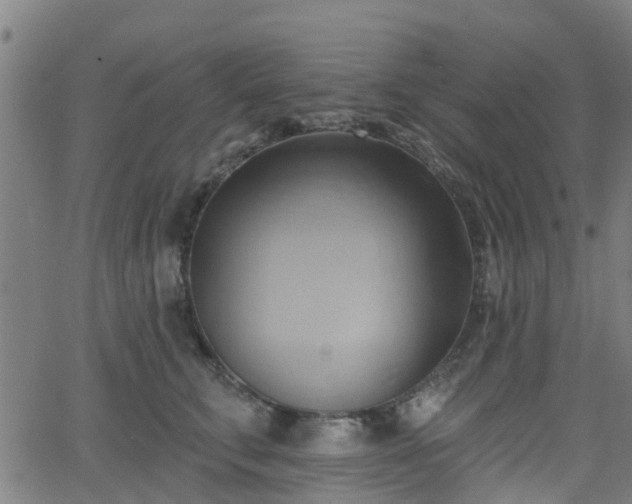 X0000062910711200601181219