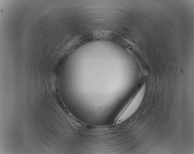 X0000062910712200601181219