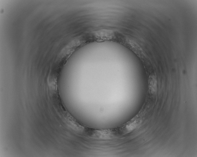 X0000062910713200601181219