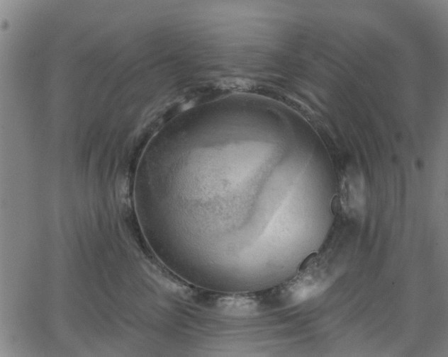 X0000062910714200601181219