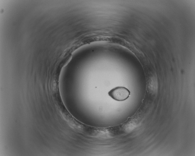 X0000062910715200601181219