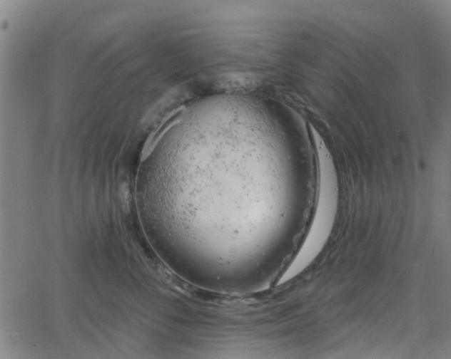 X0000062910716200601181219