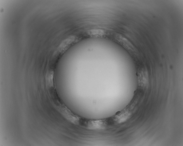 X0000062910717200601181219