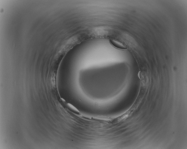 X0000062910718200601181219