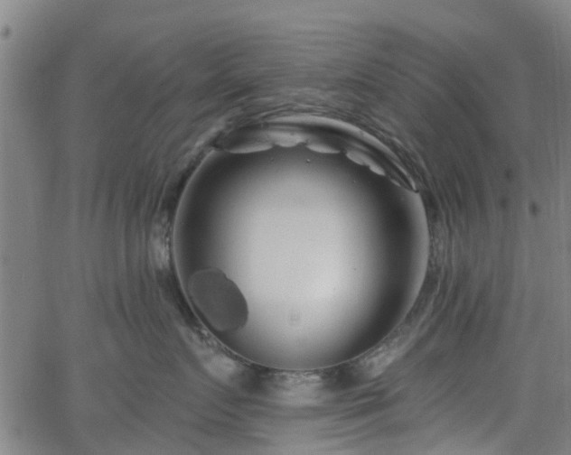 X0000062910719200601181219