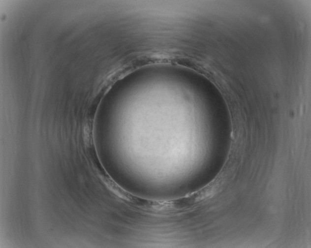 X0000062910720200601181219