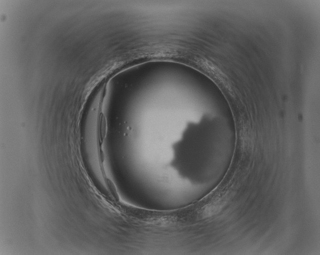 X0000062910721200601181218