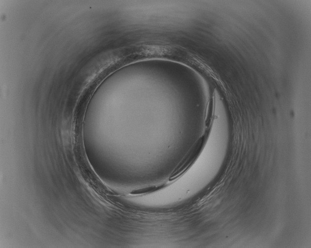 X0000062910722200601181218