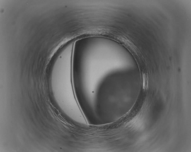 X0000062910723200601181218