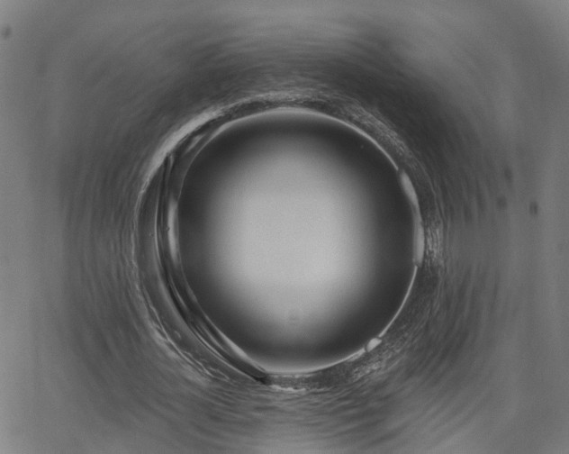 X0000062910724200601181218