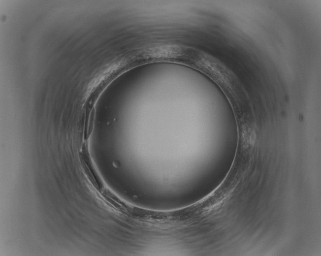 X0000062910725200601181218