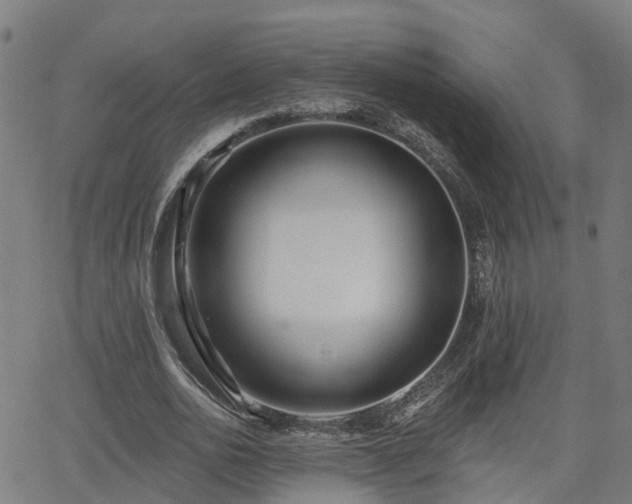 X0000062910726200601181218