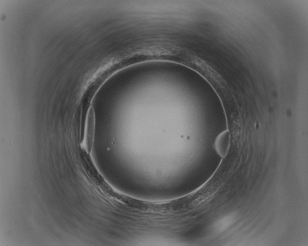 X0000062910727200601181218