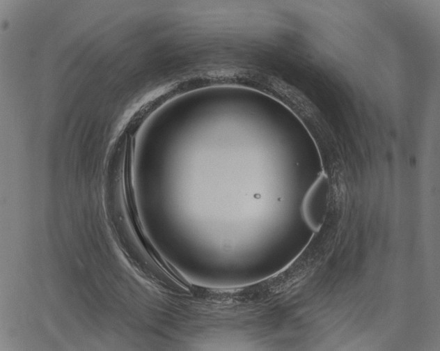 X0000062910728200601181218