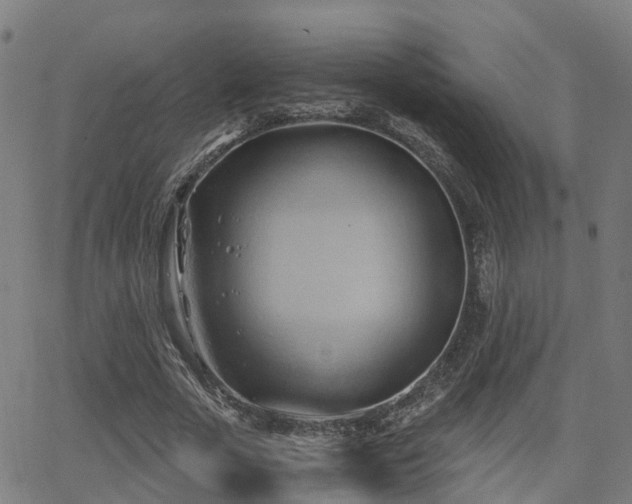 X0000062910729200601181218