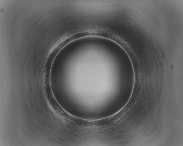 X0000062910730200601181218