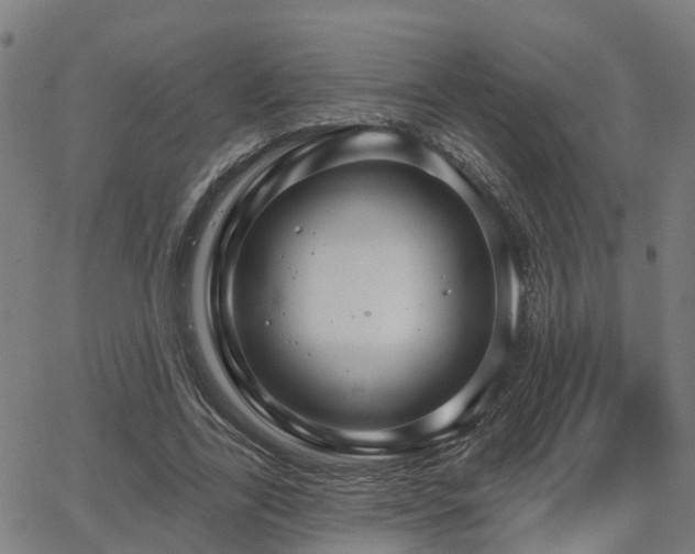 X0000062910731200601181218