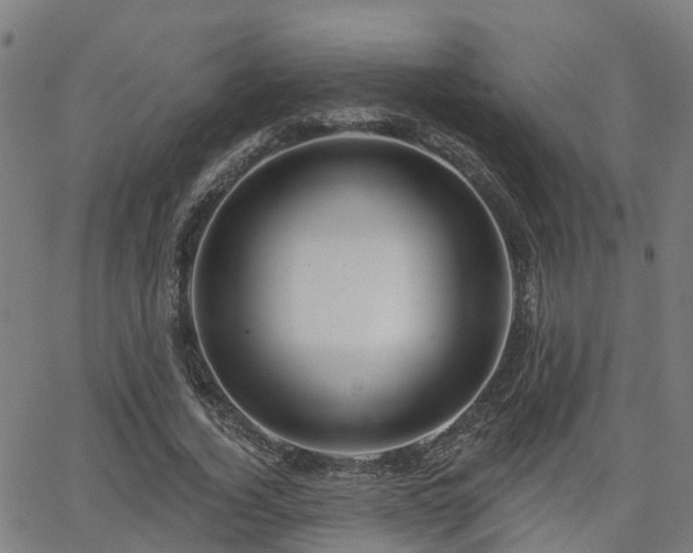 X0000062910732200601181218