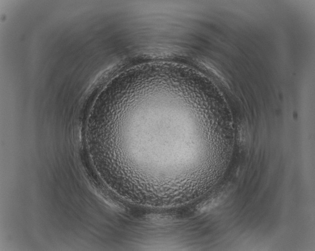 X0000062910733200601181219