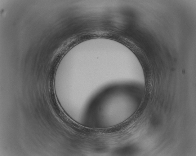 X0000062910734200601181219