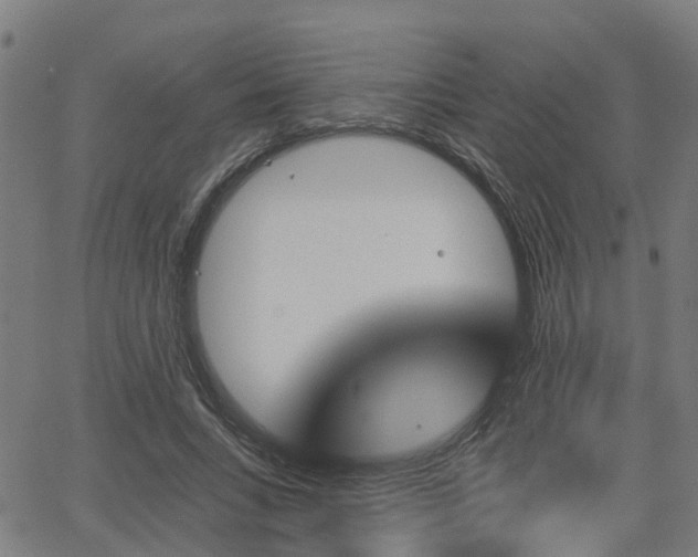 X0000062910735200601181219