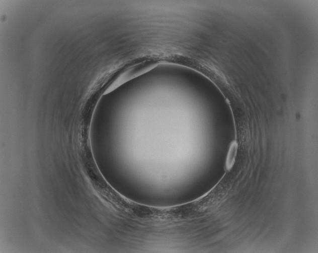 X0000062910736200601181219