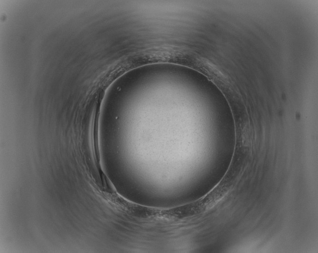 X0000062910737200601181219