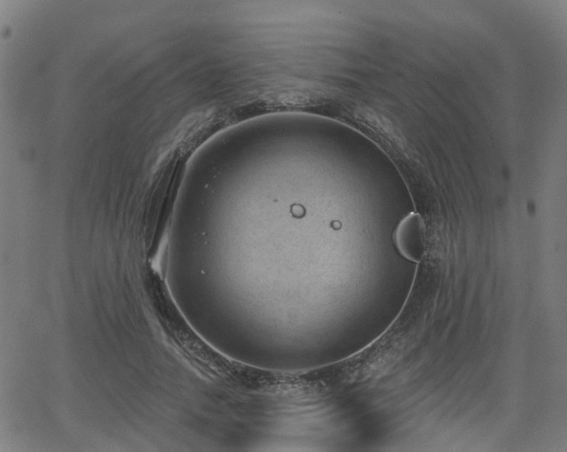 X0000062910738200601181219