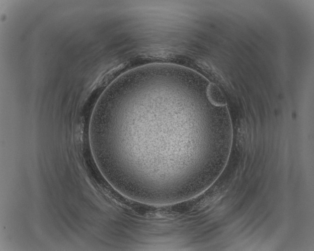 X0000062910739200601181219