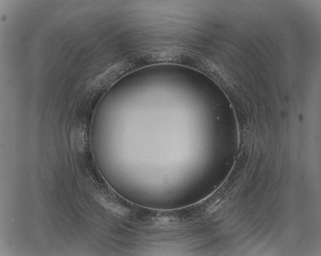 X0000062910741200601181219