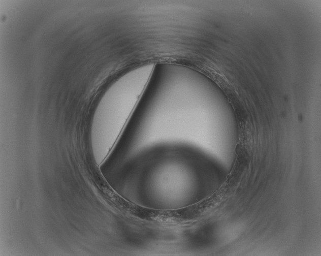 X0000062910742200601181219