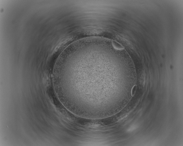 X0000062910743200601181219