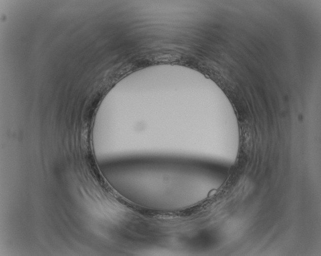 X0000062910745200601181219