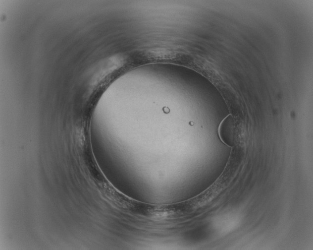 X0000062910746200601181219