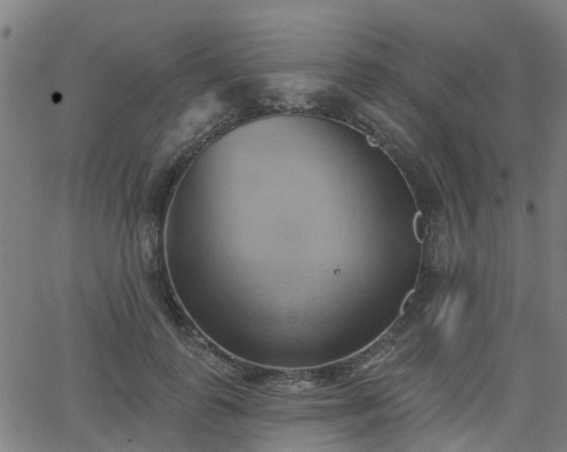 X0000062910747200601181219