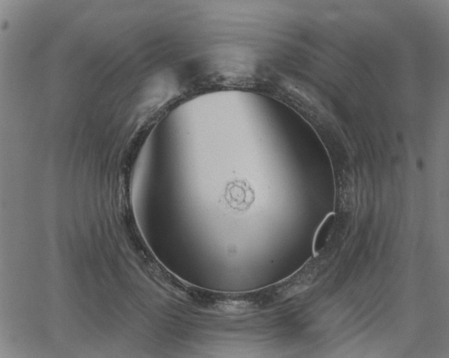 X0000062910748200601181219