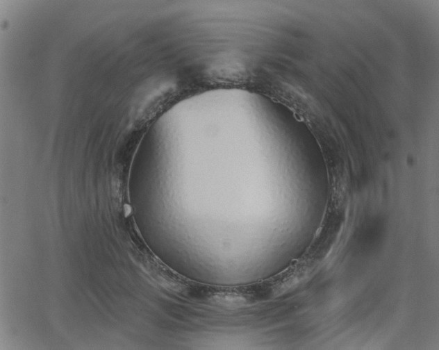 X0000062910749200601181219