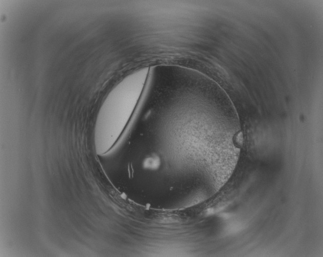 X0000062910750200601181219