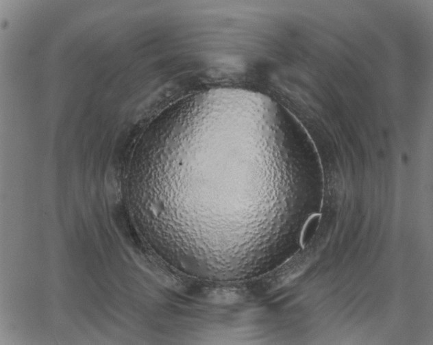 X0000062910751200601181219