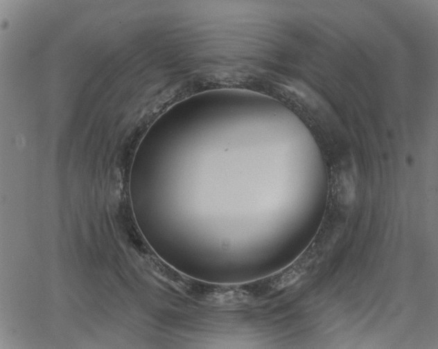 X0000062910752200601181219