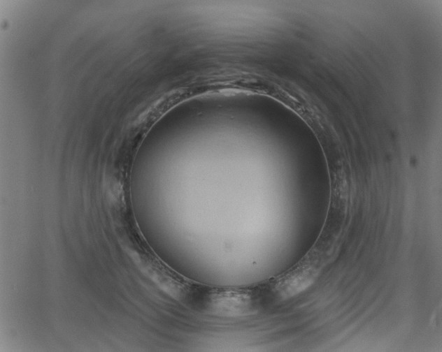 X0000062910754200601181219