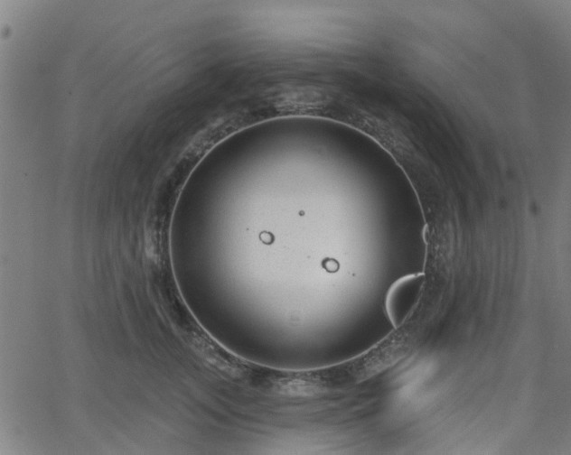 X0000062910755200601181219