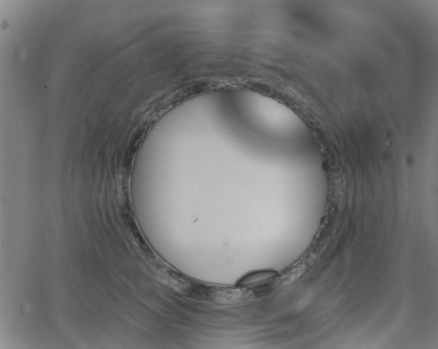 X0000062910757200601181219