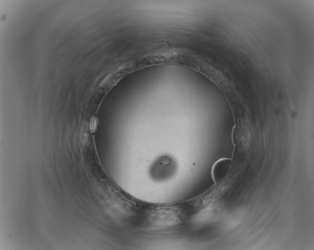 X0000062910758200601181219