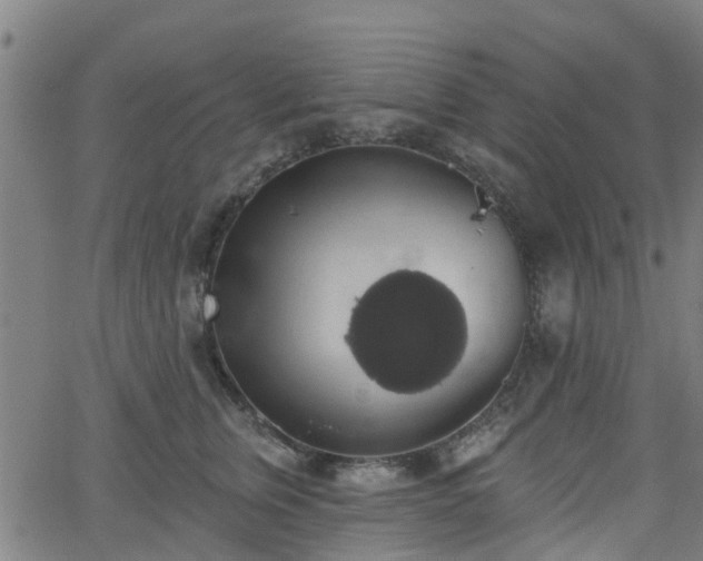 X0000062910759200601181219