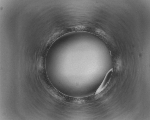 X0000062910760200601181219