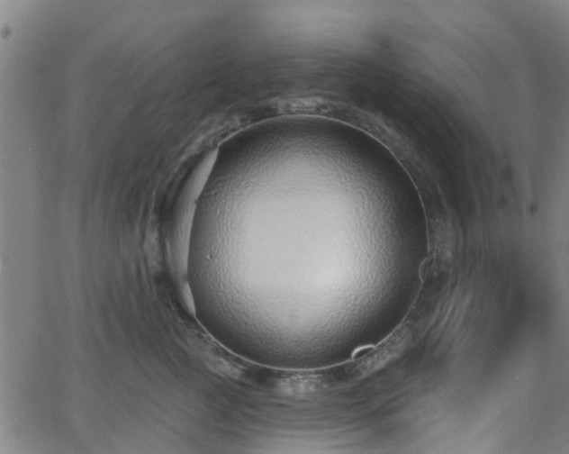 X0000062910761200601181219