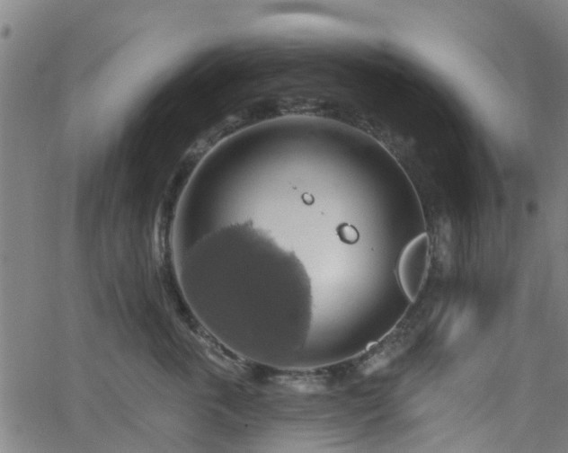 X0000062910763200601181219