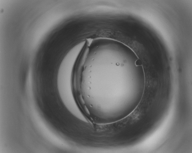 X0000062910765200601181219