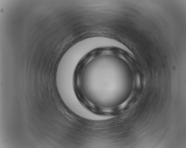 X0000062910766200601181219